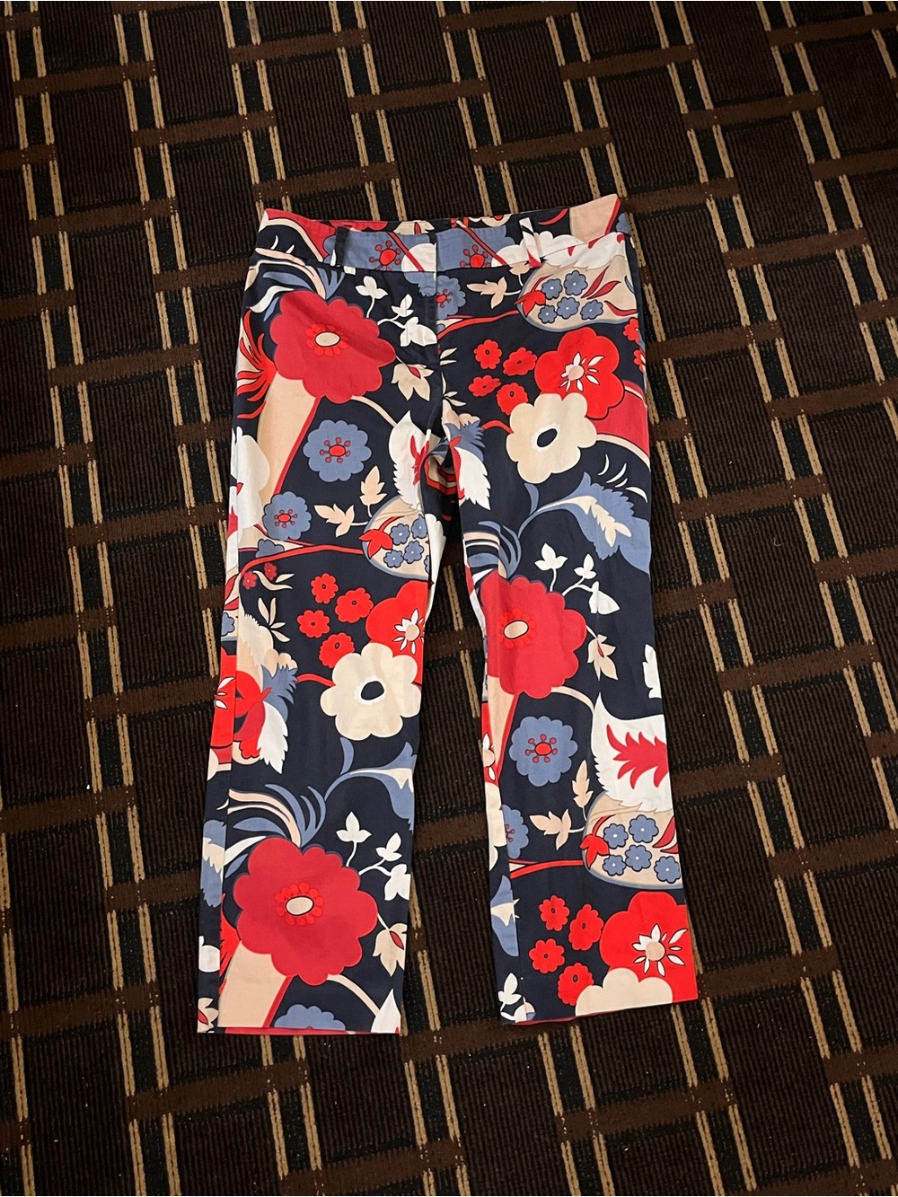 Women’s Ann Taylor Paisley Pants Chino Red Blue Floral Size 8 Nature Loud 780